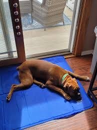 Cooling Gel Pet Mat for Dogs and Cats - Image 3