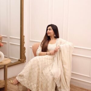 White Color Heavy Embroidery Work Gown